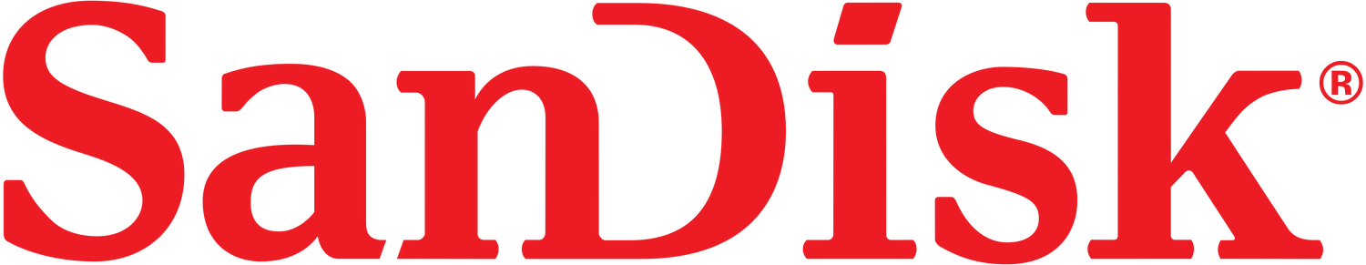 Sandisk